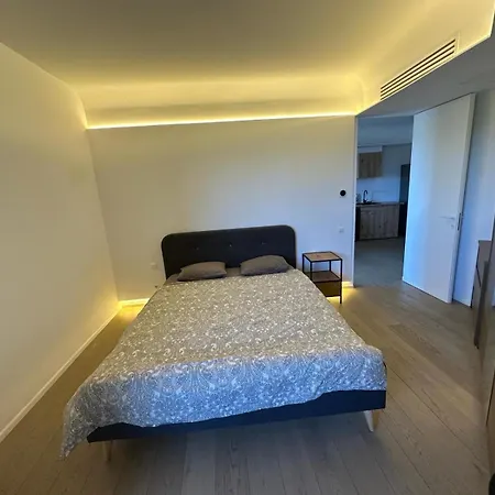 De Lux 公寓 布加勒斯特